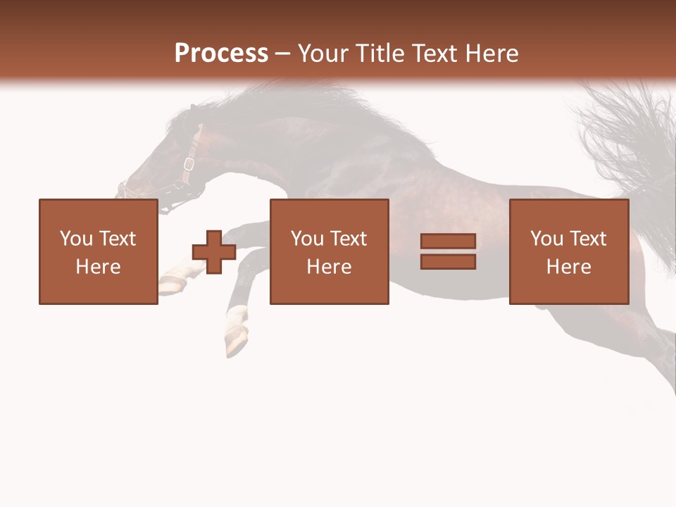 Isolated Stallion Chestnut PowerPoint Template