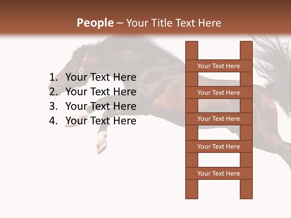 Isolated Stallion Chestnut PowerPoint Template