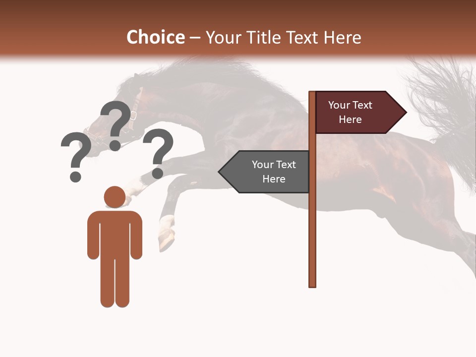 Isolated Stallion Chestnut PowerPoint Template