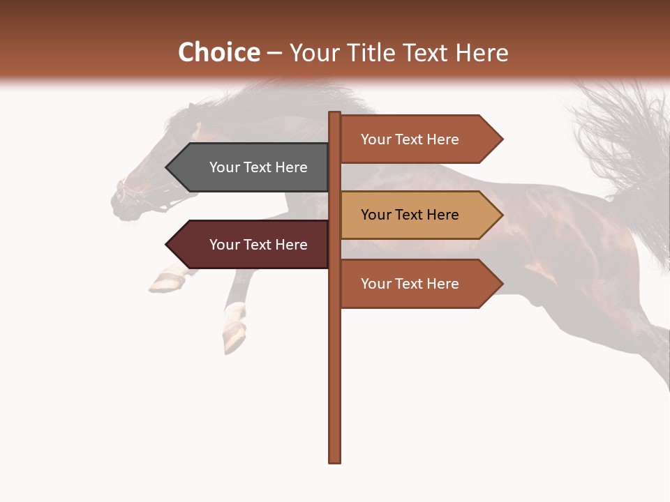 Isolated Stallion Chestnut PowerPoint Template