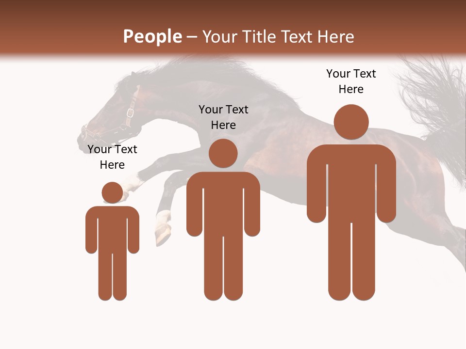 Isolated Stallion Chestnut PowerPoint Template