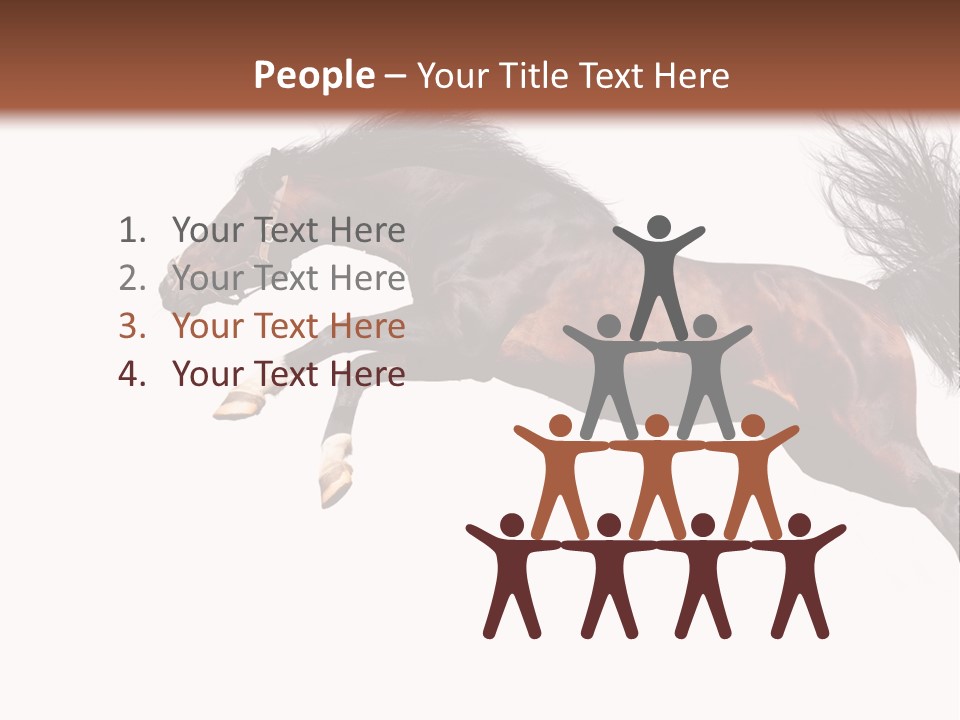 Isolated Stallion Chestnut PowerPoint Template