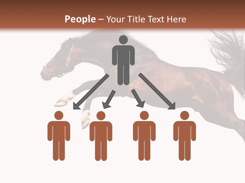 Isolated Stallion Chestnut PowerPoint Template