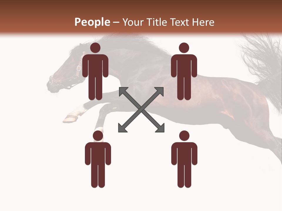 Isolated Stallion Chestnut PowerPoint Template