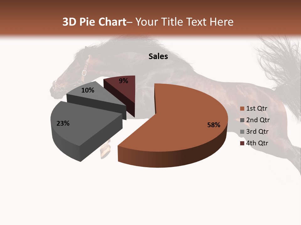 Isolated Stallion Chestnut PowerPoint Template
