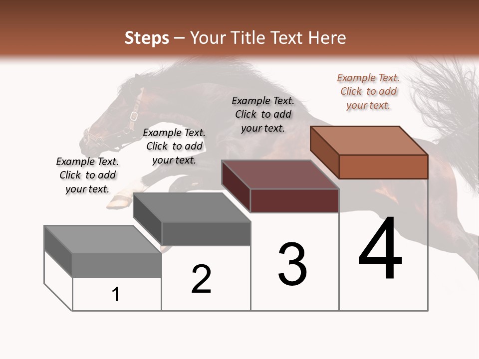 Isolated Stallion Chestnut PowerPoint Template