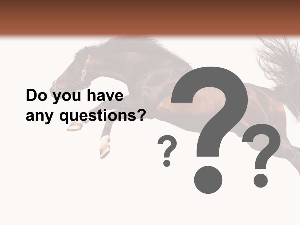 Isolated Stallion Chestnut PowerPoint Template