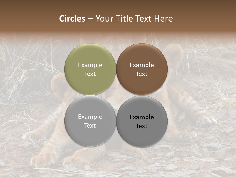 Jump Isolated Bay PowerPoint Template