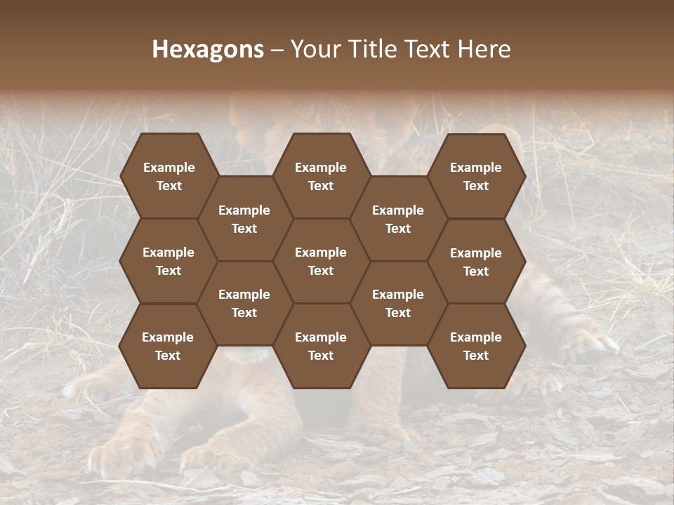 Jump Isolated Bay PowerPoint Template