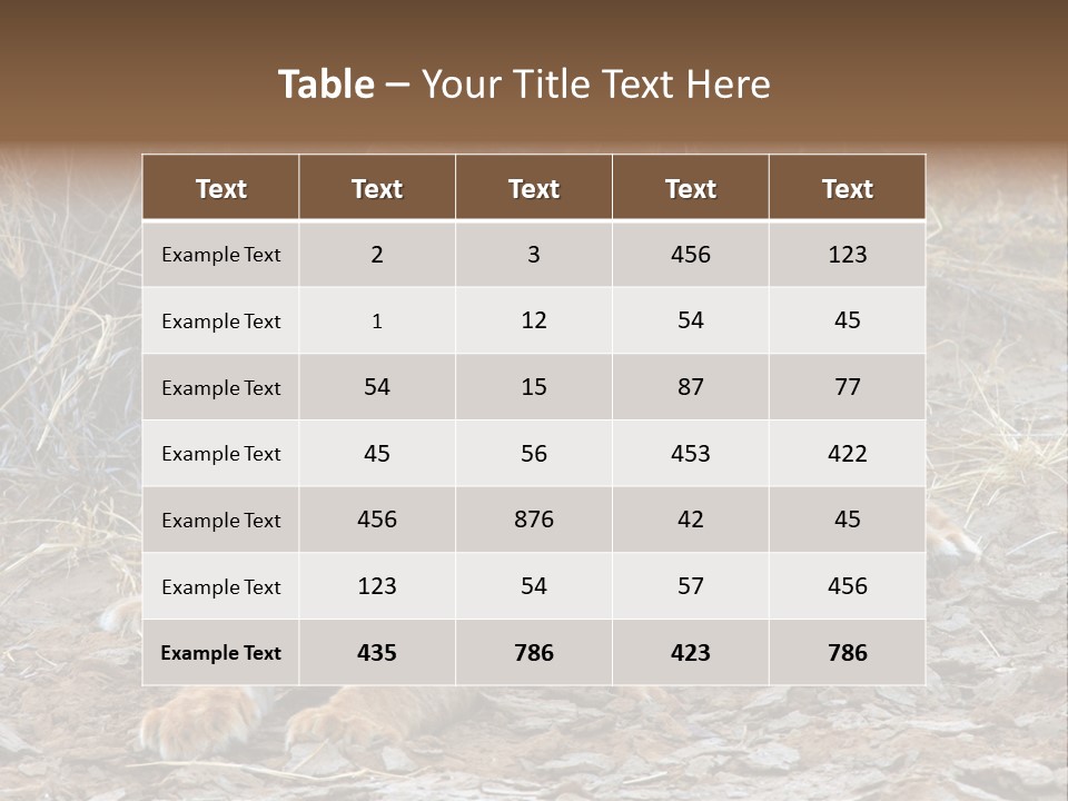 Jump Isolated Bay PowerPoint Template