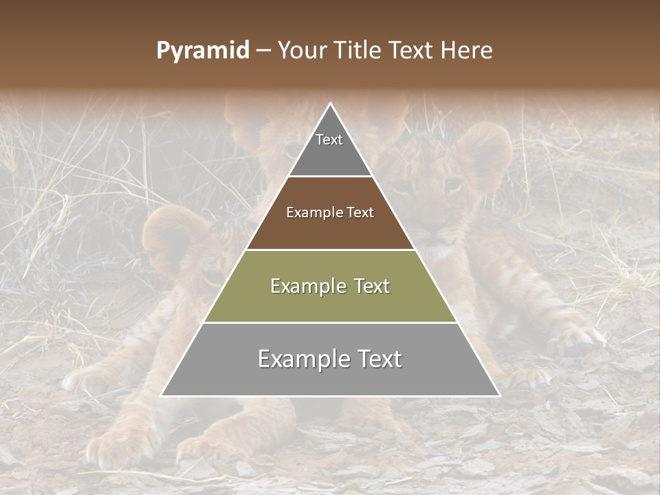 Jump Isolated Bay PowerPoint Template