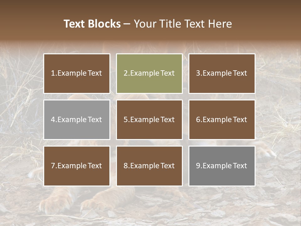 Jump Isolated Bay PowerPoint Template