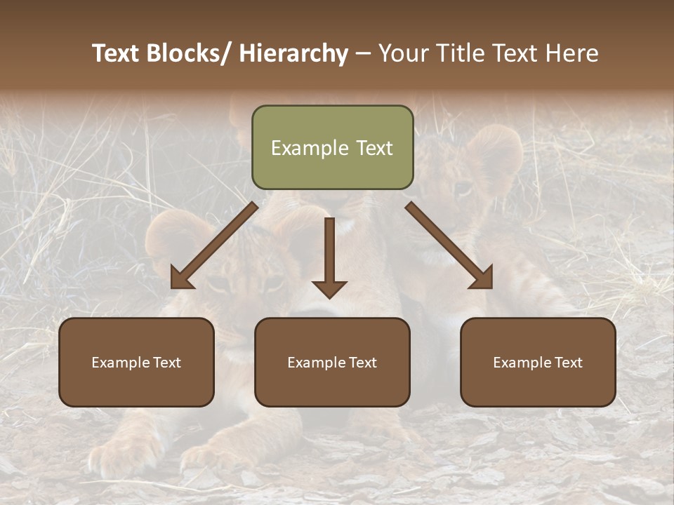 Jump Isolated Bay PowerPoint Template