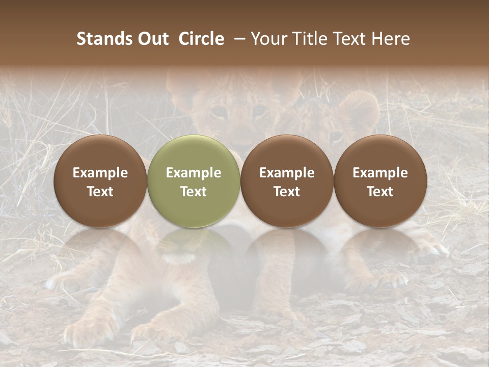 Jump Isolated Bay PowerPoint Template