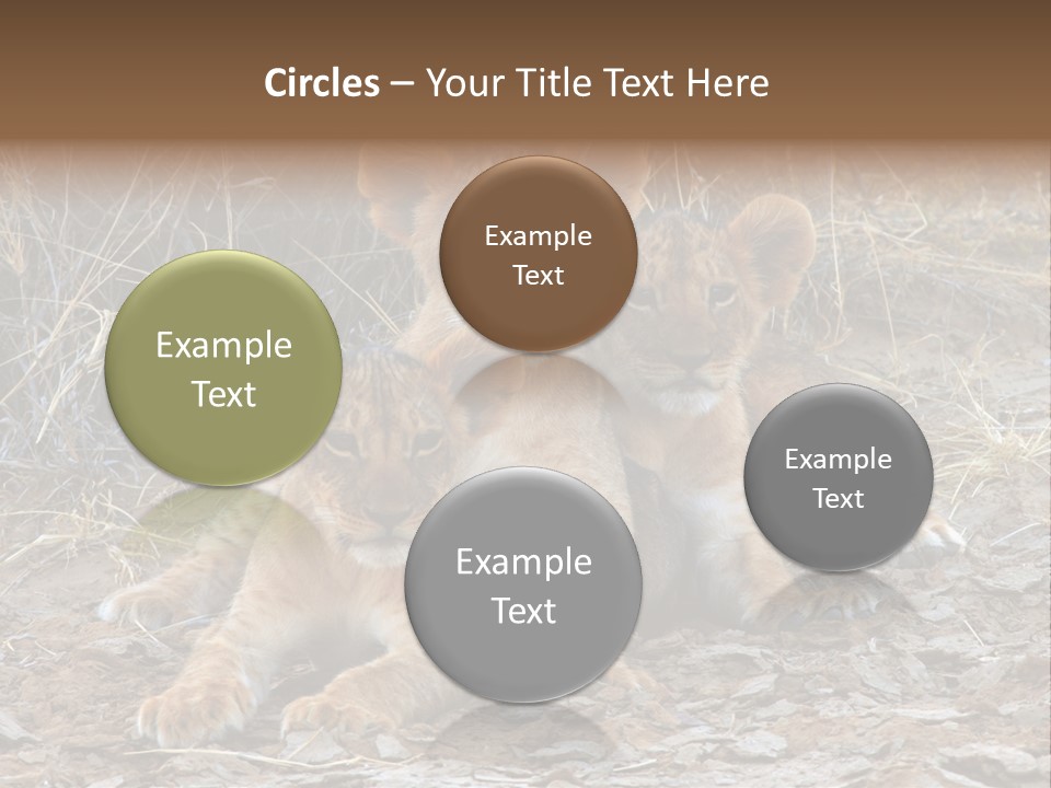 Jump Isolated Bay PowerPoint Template