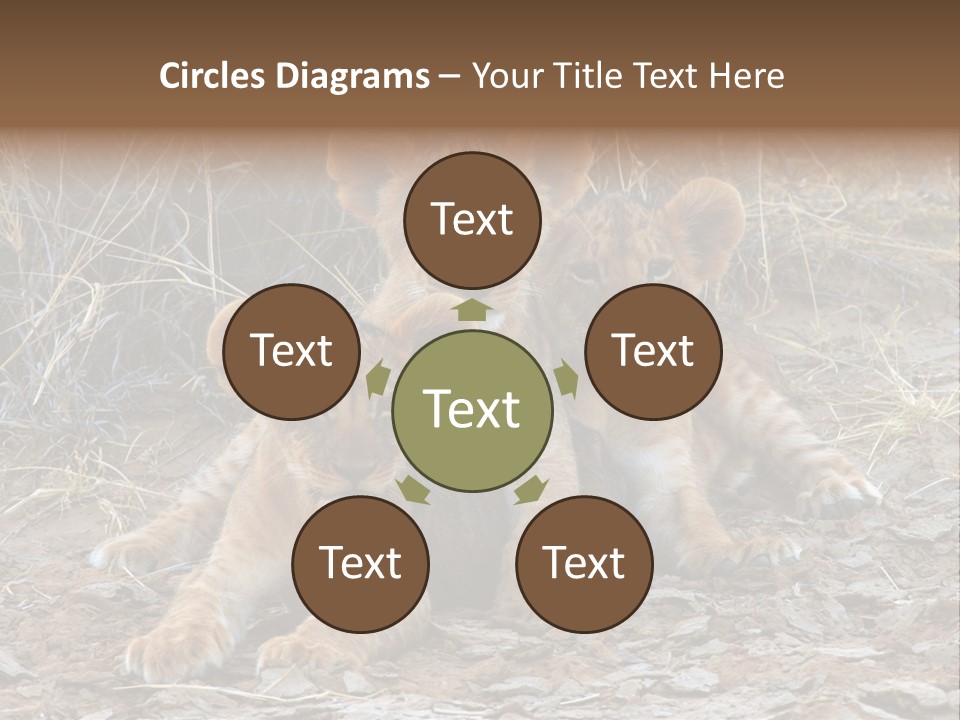 Jump Isolated Bay PowerPoint Template