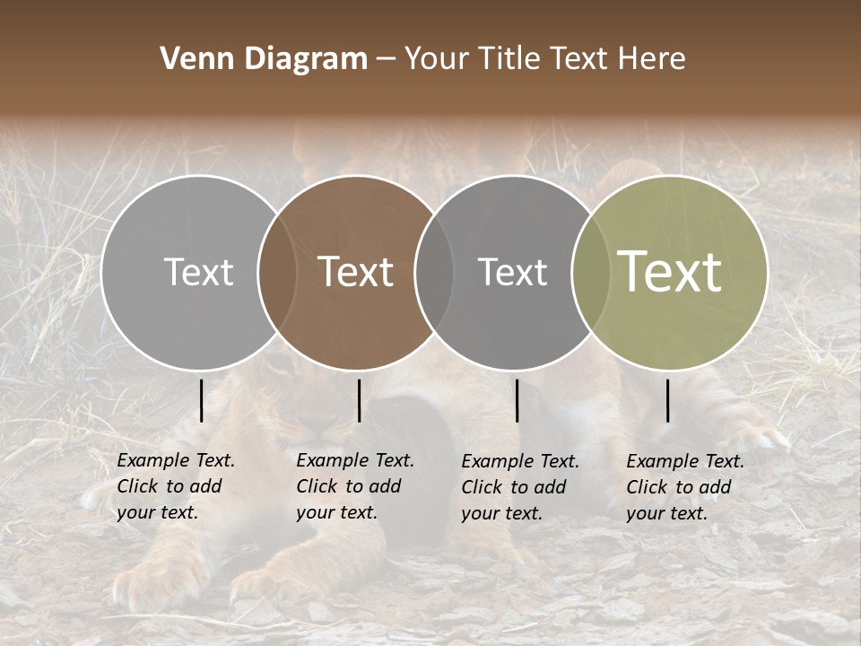 Jump Isolated Bay PowerPoint Template
