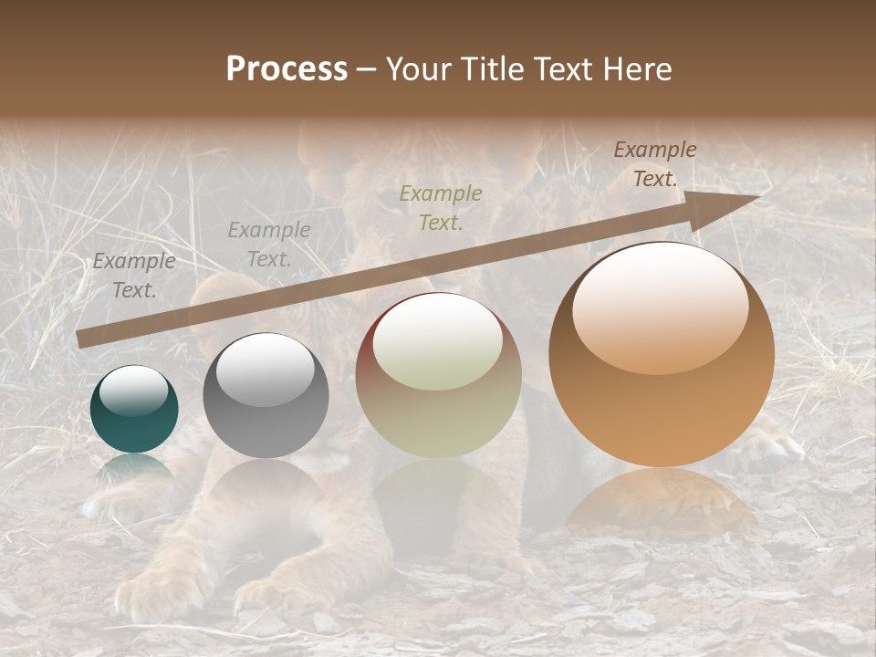 Jump Isolated Bay PowerPoint Template