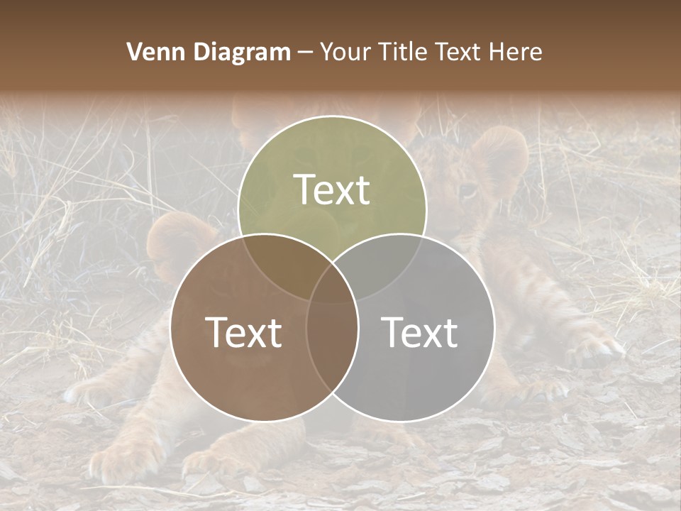 Jump Isolated Bay PowerPoint Template