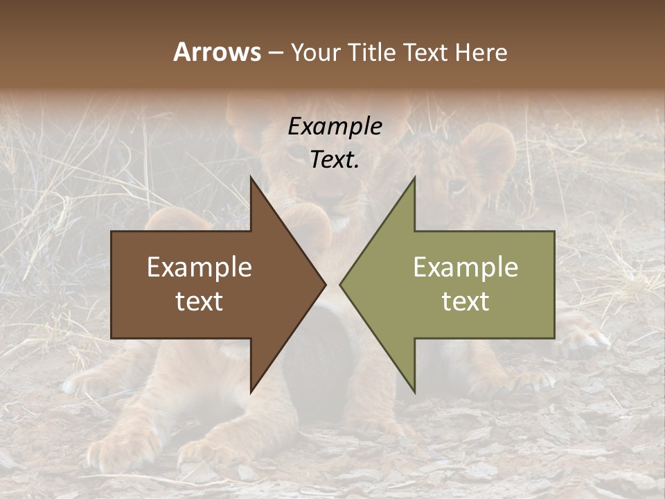 Jump Isolated Bay PowerPoint Template