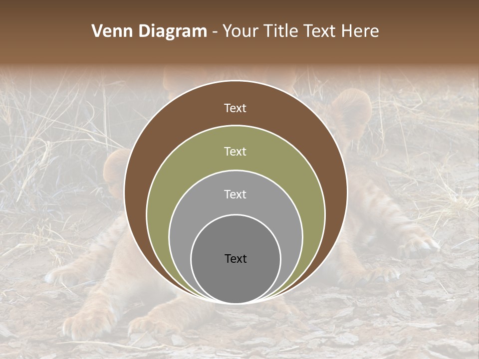 Jump Isolated Bay PowerPoint Template