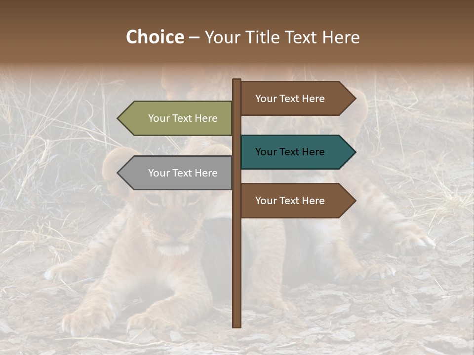 Jump Isolated Bay PowerPoint Template