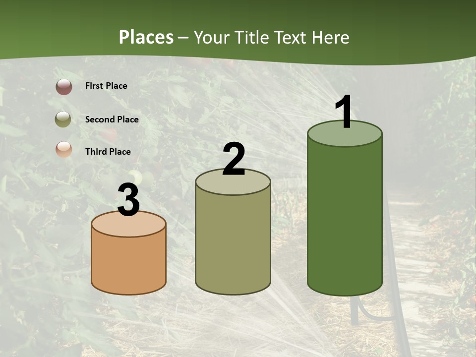 Glasshouse Scandinavian Swedish PowerPoint Template