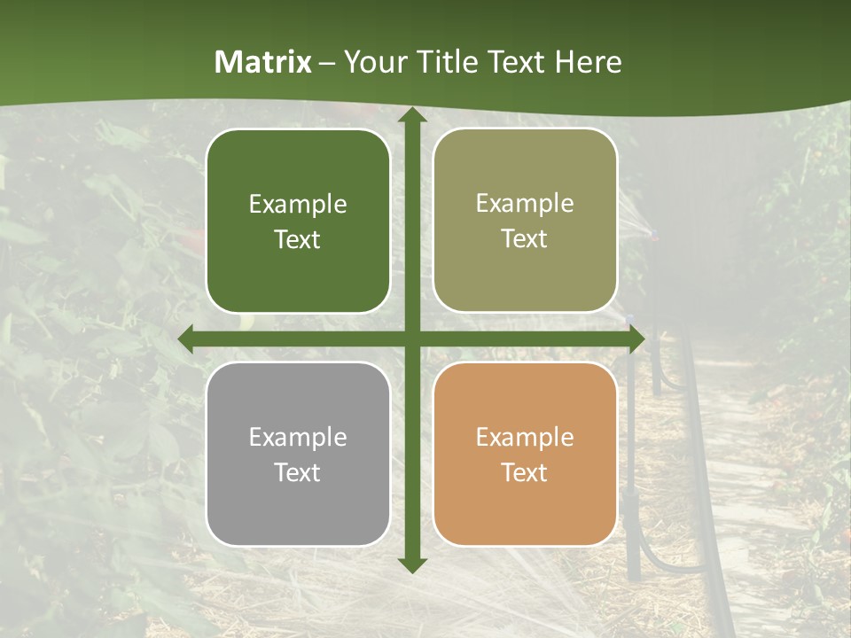 Glasshouse Scandinavian Swedish PowerPoint Template