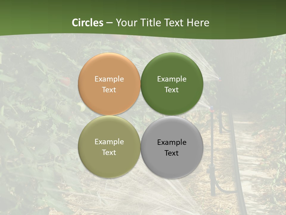 Glasshouse Scandinavian Swedish PowerPoint Template