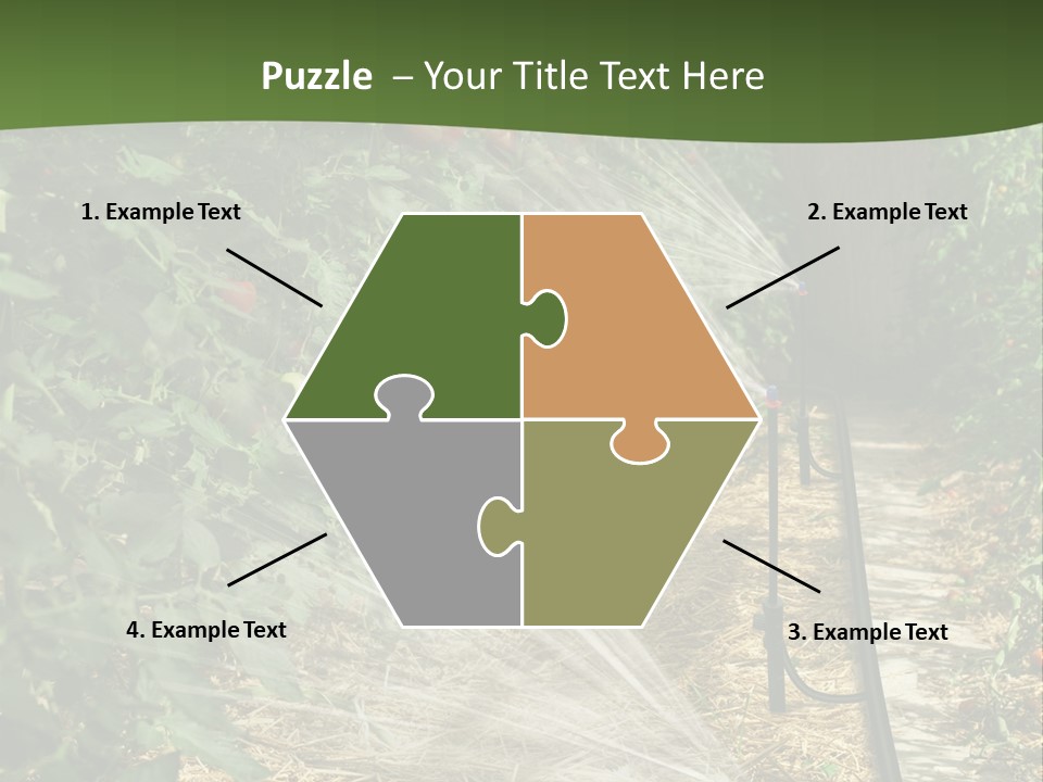 Glasshouse Scandinavian Swedish PowerPoint Template