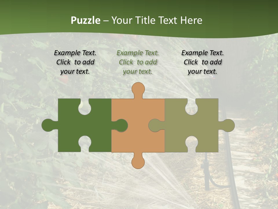 Glasshouse Scandinavian Swedish PowerPoint Template