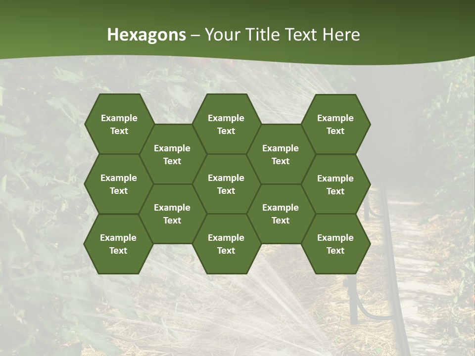 Glasshouse Scandinavian Swedish PowerPoint Template