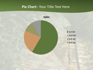 Glasshouse Scandinavian Swedish PowerPoint Template