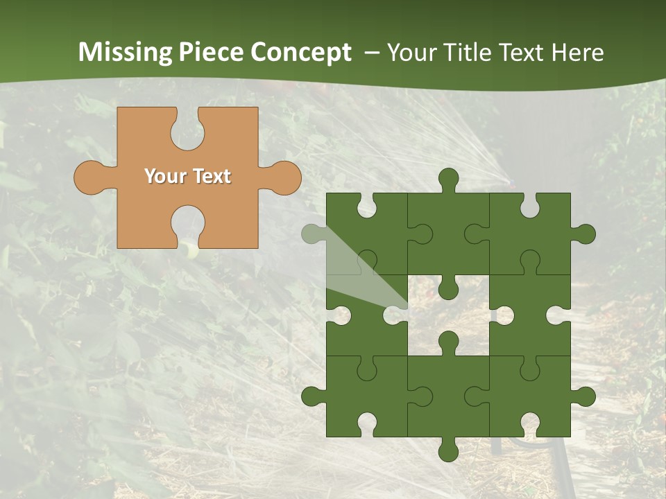 Glasshouse Scandinavian Swedish PowerPoint Template