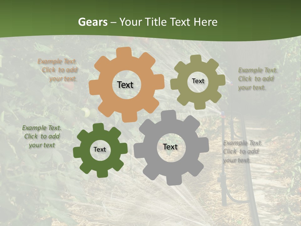 Glasshouse Scandinavian Swedish PowerPoint Template