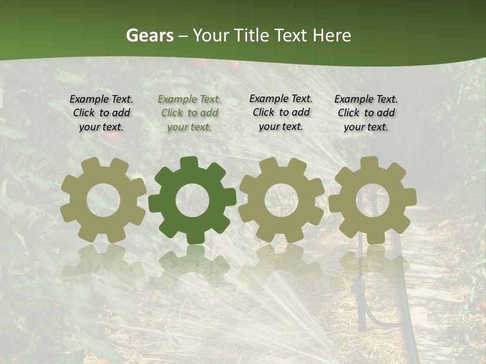 Glasshouse Scandinavian Swedish PowerPoint Template