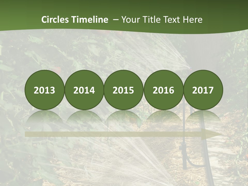 Glasshouse Scandinavian Swedish PowerPoint Template