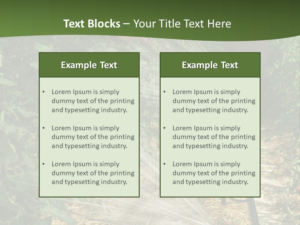 Glasshouse Scandinavian Swedish PowerPoint Template