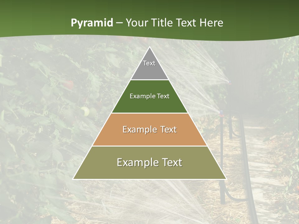 Glasshouse Scandinavian Swedish PowerPoint Template