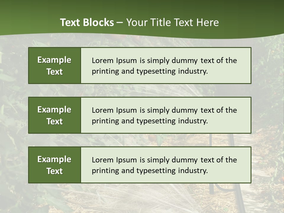 Glasshouse Scandinavian Swedish PowerPoint Template
