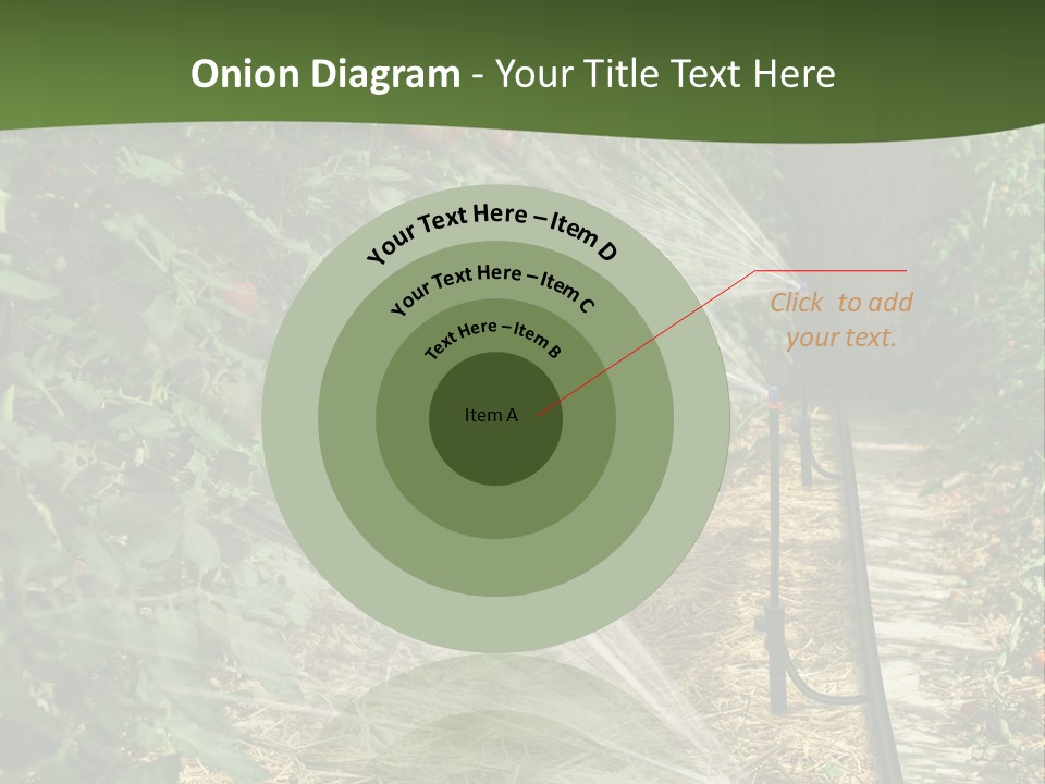 Glasshouse Scandinavian Swedish PowerPoint Template