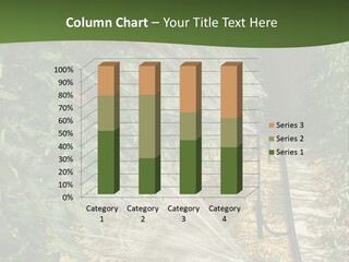 Glasshouse Scandinavian Swedish PowerPoint Template