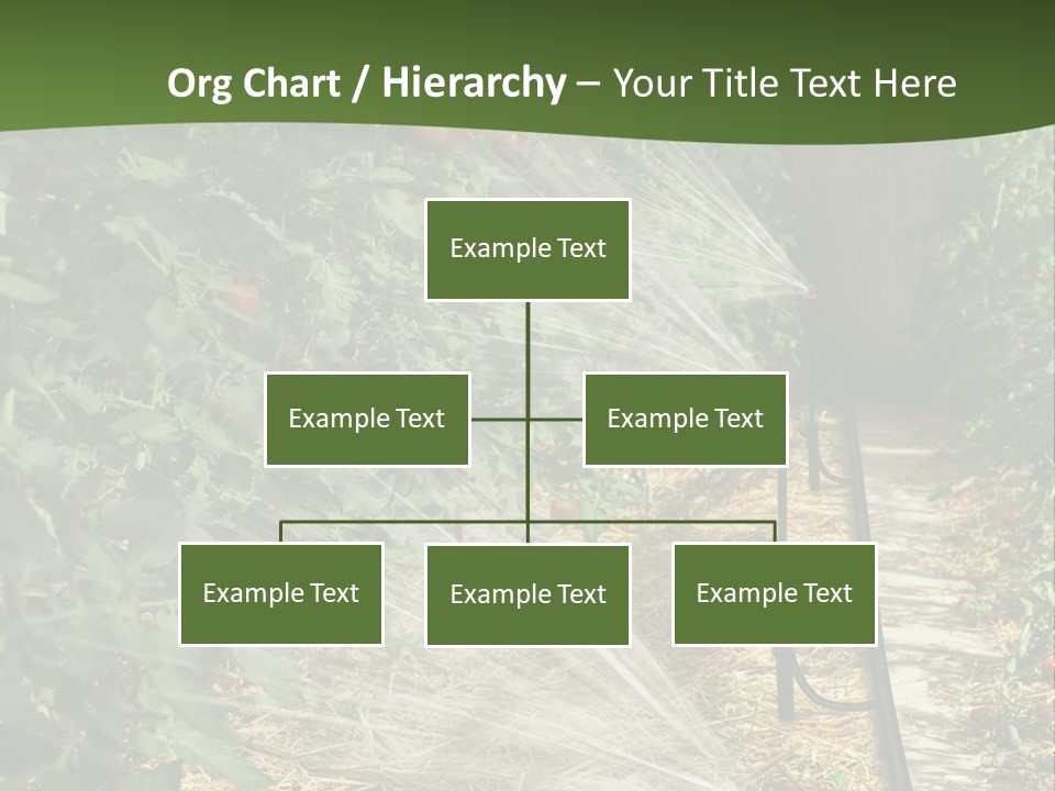 Glasshouse Scandinavian Swedish PowerPoint Template