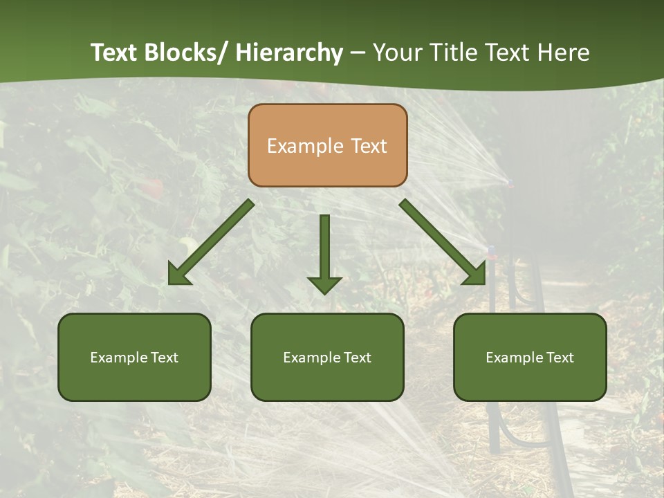 Glasshouse Scandinavian Swedish PowerPoint Template