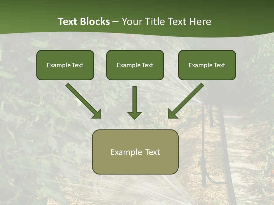 Glasshouse Scandinavian Swedish PowerPoint Template