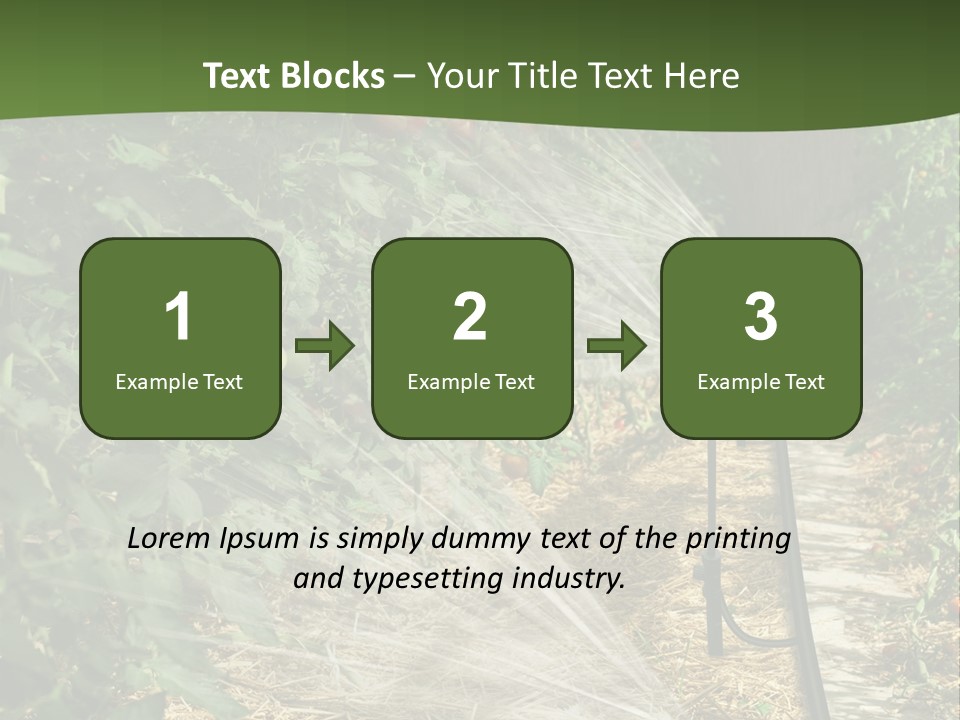Glasshouse Scandinavian Swedish PowerPoint Template