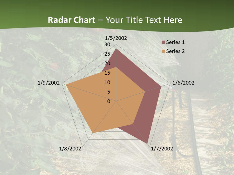 Glasshouse Scandinavian Swedish PowerPoint Template