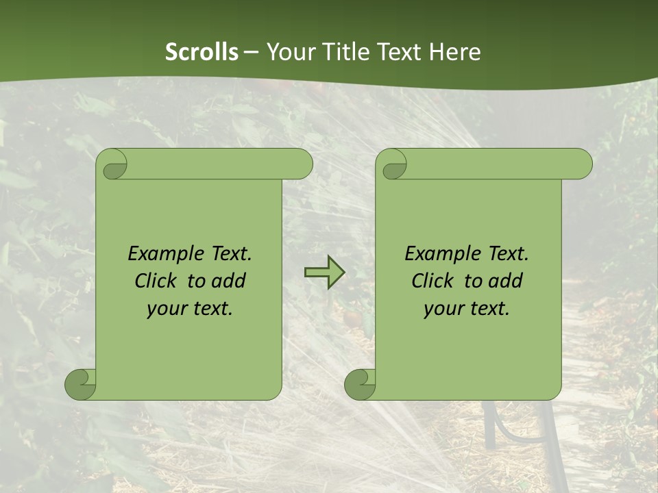 Glasshouse Scandinavian Swedish PowerPoint Template