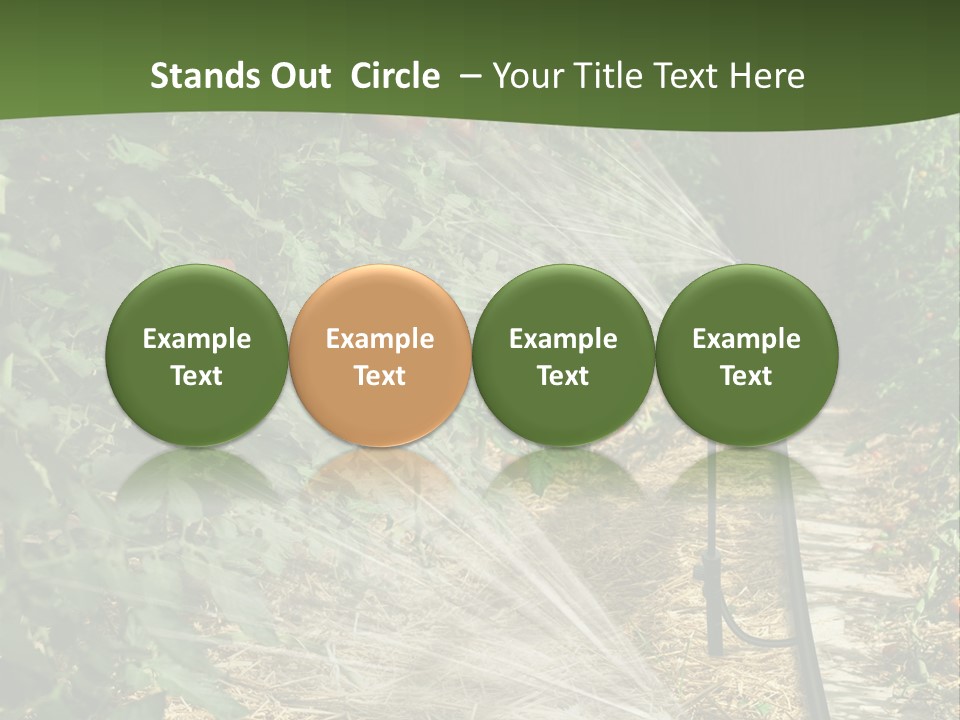 Glasshouse Scandinavian Swedish PowerPoint Template