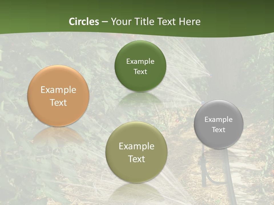 Glasshouse Scandinavian Swedish PowerPoint Template